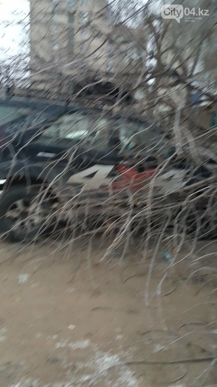 Дерево упало на машину во дворе на Есет батыра, фото-1 Дерево упало на машину во дворе на Есет батыра, фото-1