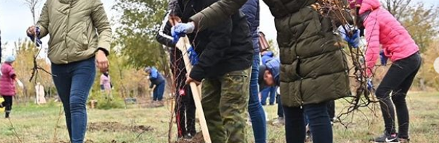 В Актобе в субботу массово сажали деревья В Актобе в субботу массово сажали деревья, Васильева Марина