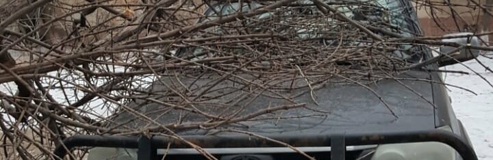 Дерево упало на машину во дворе на Есет батыра Дерево упало на машину во дворе на Есет батыра, Сагимбаева Баян