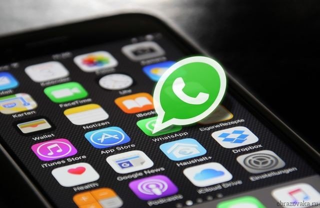 Минздрав запустил WhatsApp-бот для вопросов о коронавирусе Минздрав запустил WhatsApp-бот для вопросов о коронавирусе
